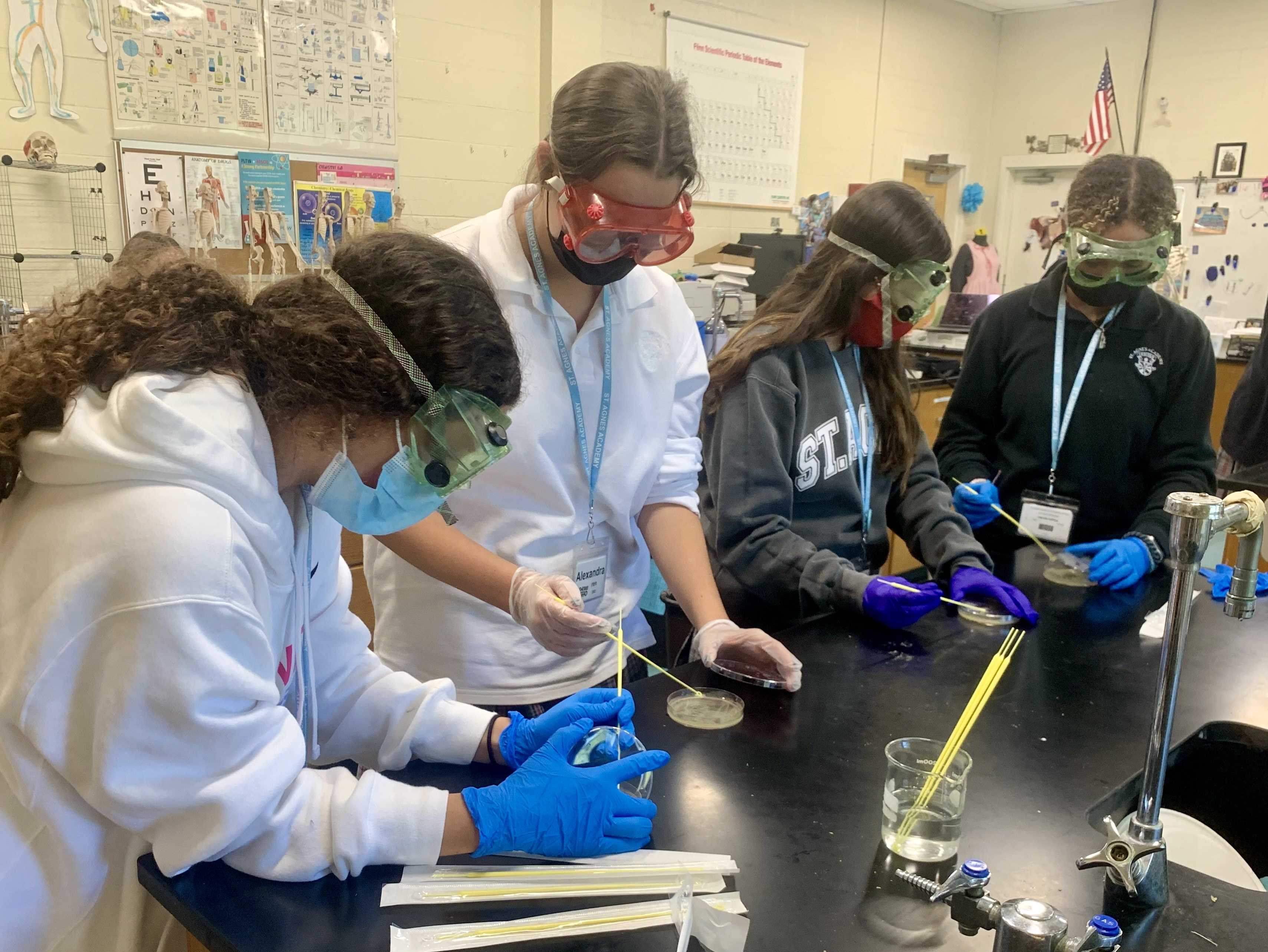 Empowering Tomorrow's Biomedical Science Professionals