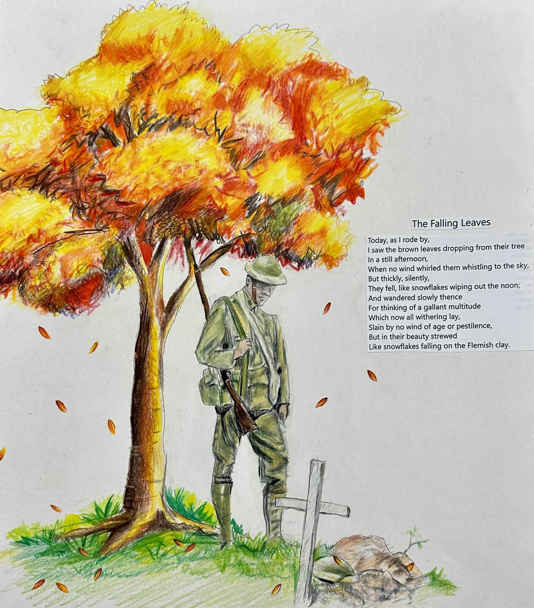 20251911210334IMG-1753-2-3.JPG (507 KB)