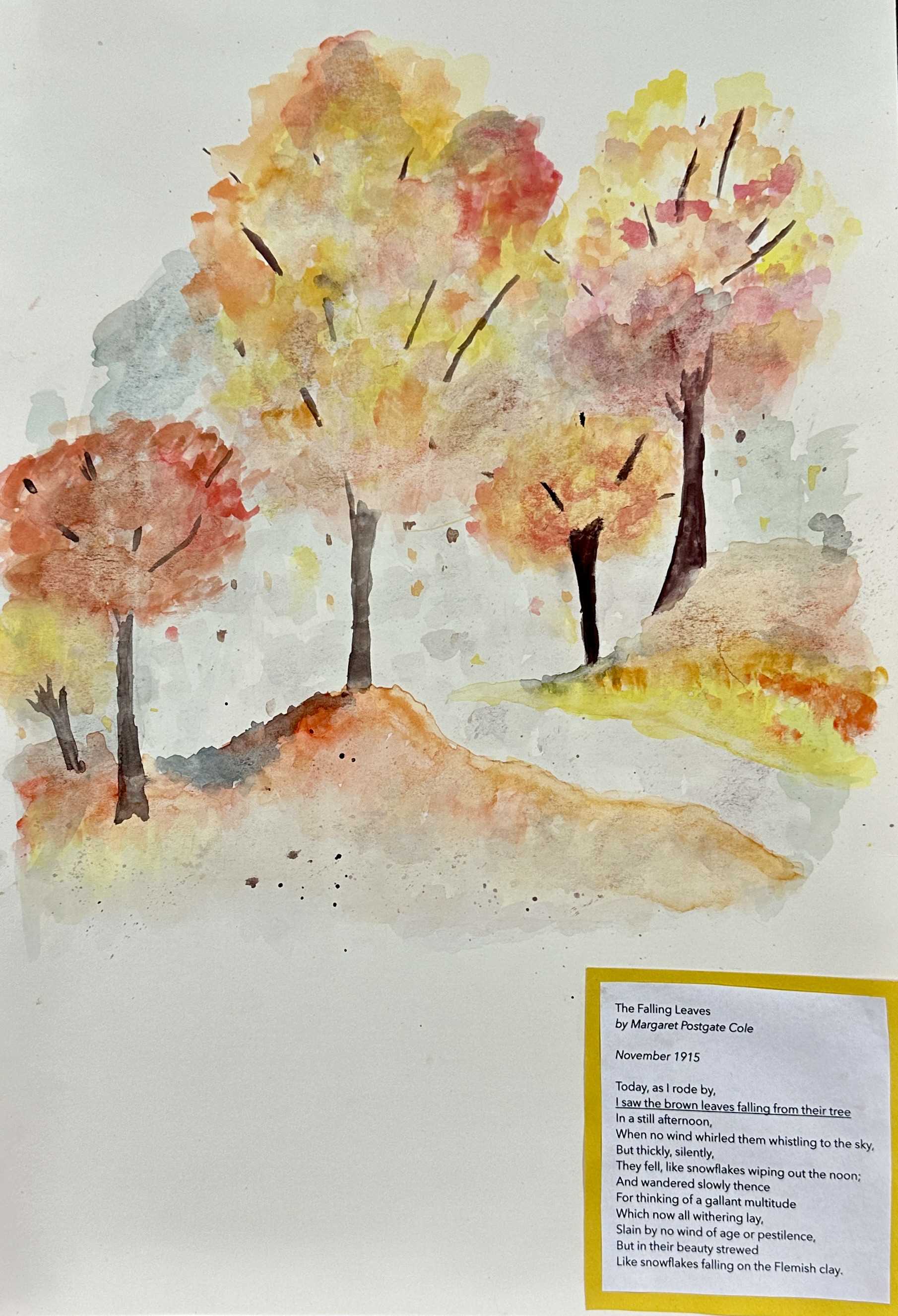 20251911210401IMG-1751-2-2.JPG (368 KB)