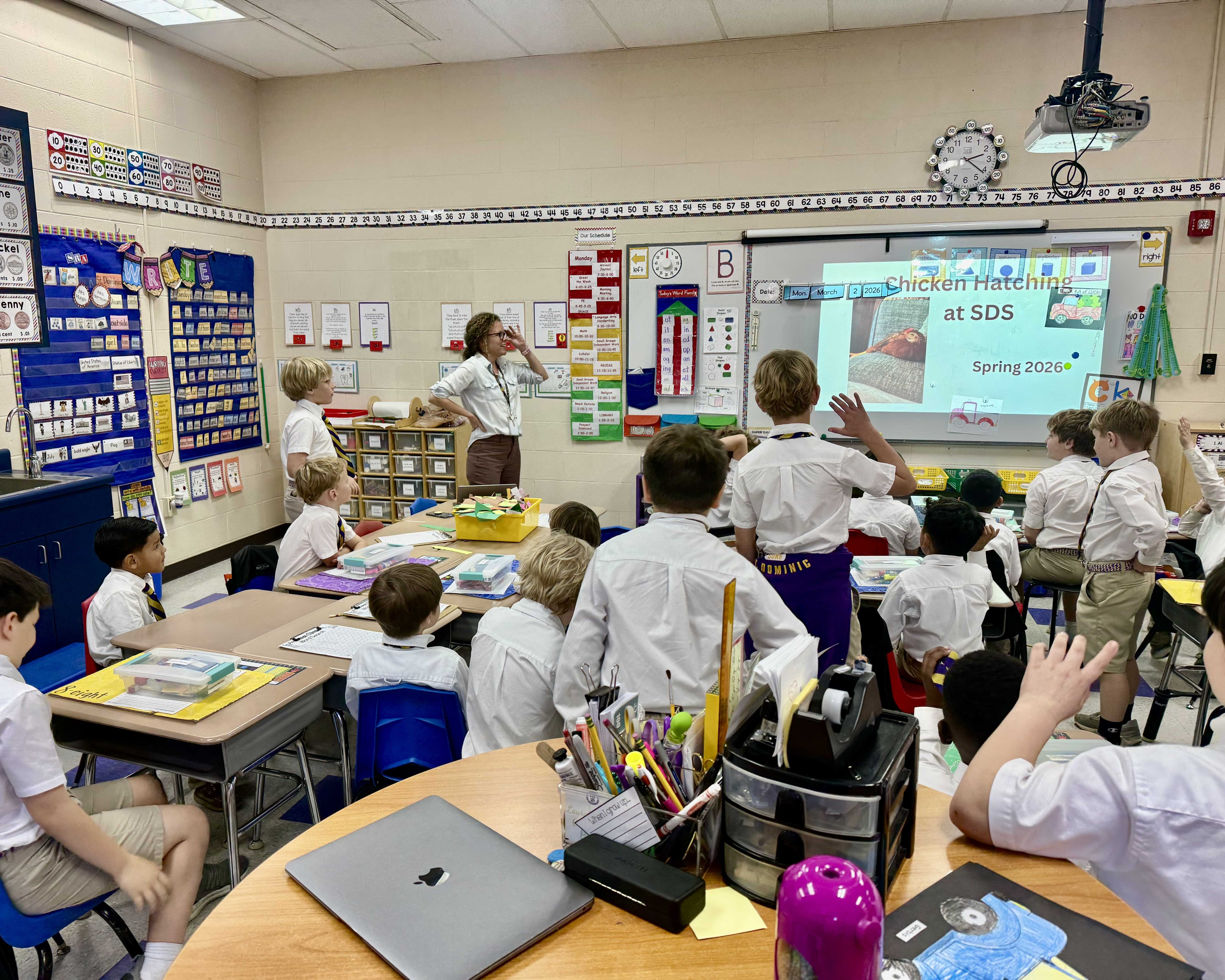 2026014160819chick-3-2.jpeg (1.55 MB)